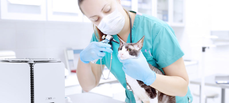 Veterinary & Animal Care
